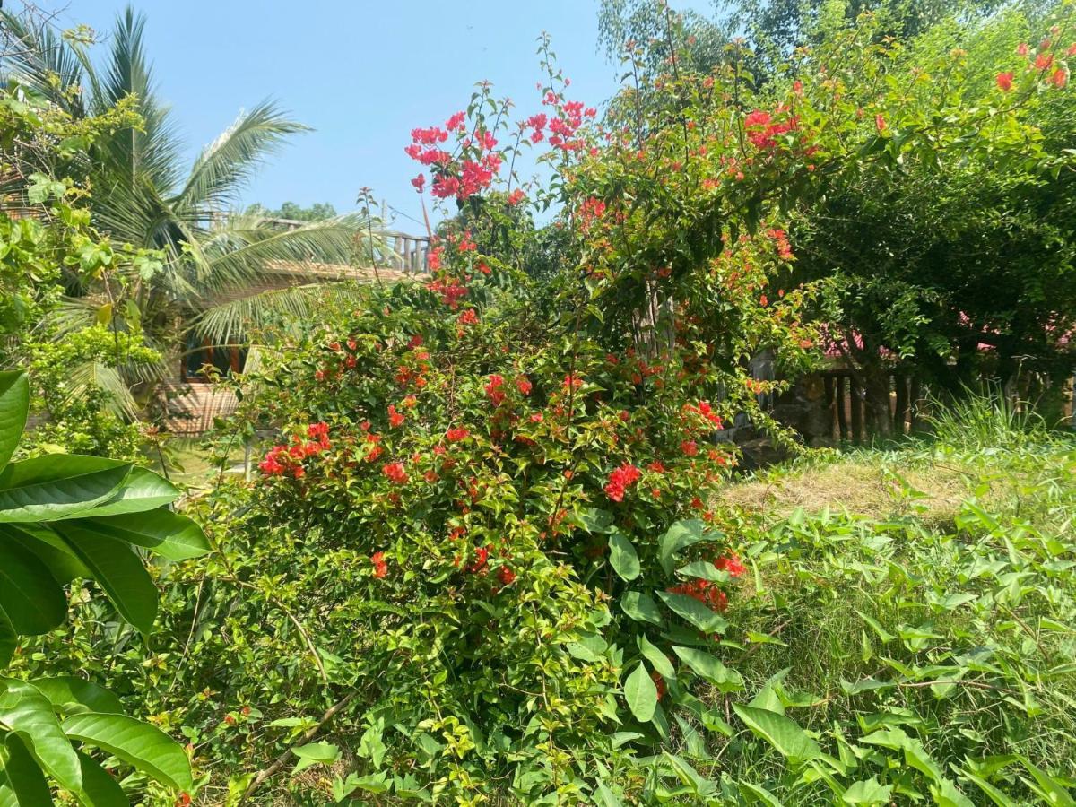 Ngoc Tien Farmer Eco Lodge Cat Tien Buitenkant foto